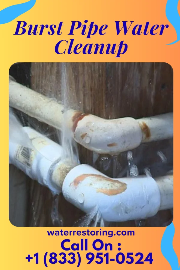 Burst Pipe Water Cleanup in Eggertsville, NY