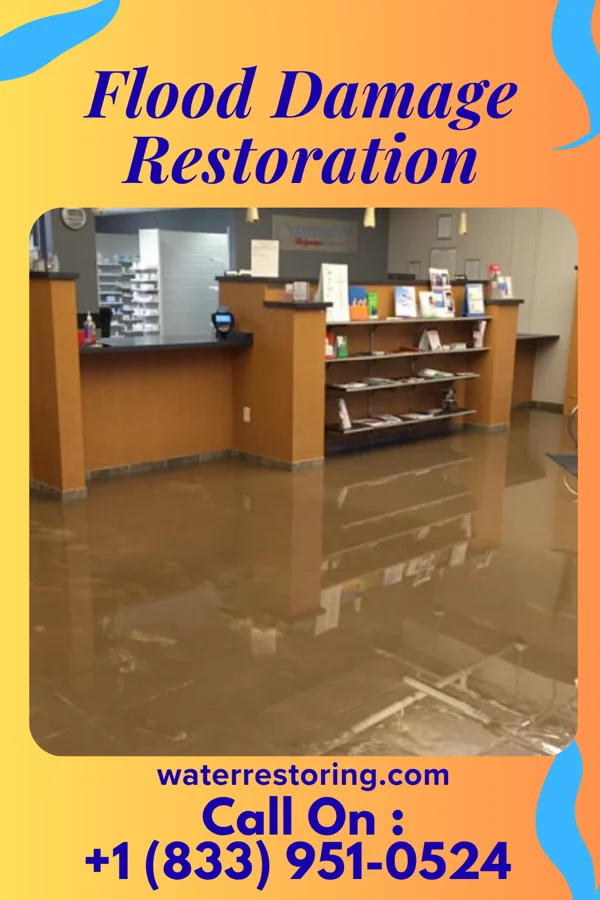 Flood Damage Restoration in Eggertsville, NY