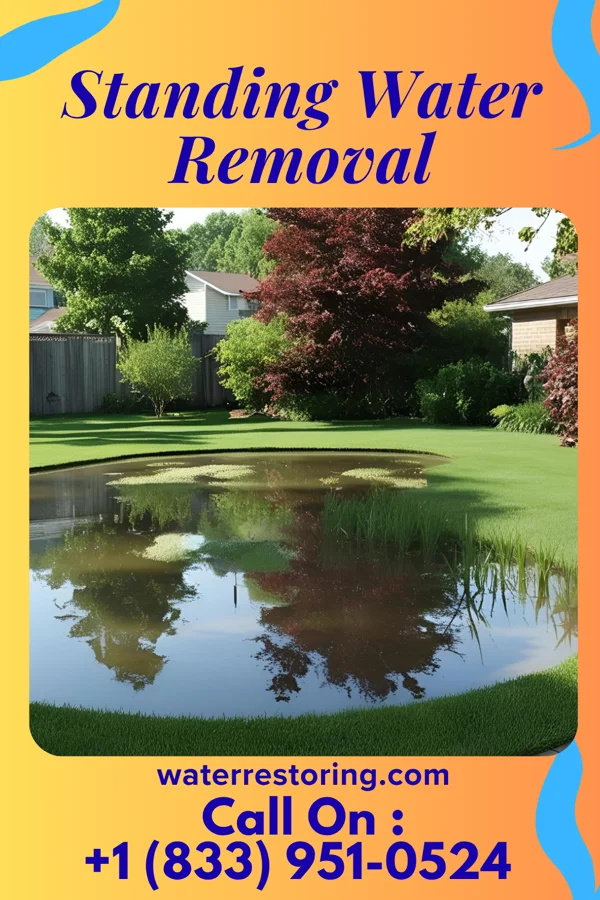 Standing Water Removal in Eggertsville, NY